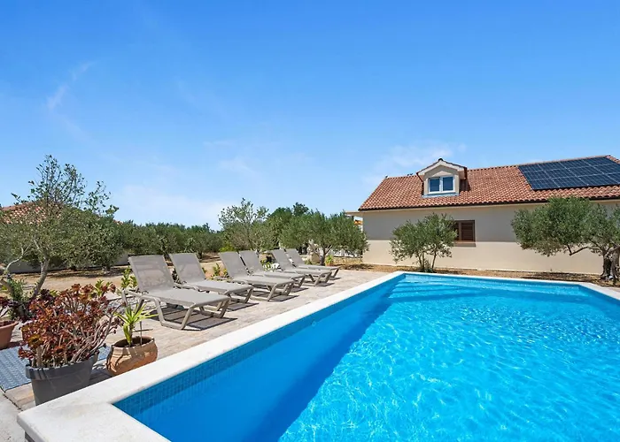 Amazing In * 沃迪切